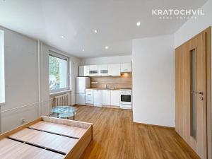Pronájem bytu 1+kk, Praha - Letňany, Místecká, 25 m2