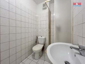 Prodej bytu 1+kk, Hostivice, Za Mlýnem, 29 m2