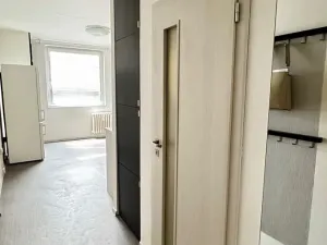 Pronájem bytu 1+1, Pardubice, Kunětická, 41 m2
