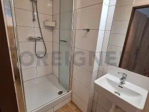 Pronájem bytu 1+kk, Olomouc, Ztracená, 25 m2