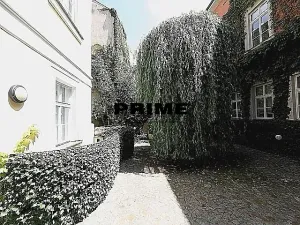 Pronájem bytu 2+kk, Praha - Malá Strana, Vlašská, 92 m2
