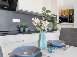 Pronájem bytu 2+kk, Brno, Plotní, 52 m2