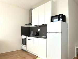Pronájem bytu 1+kk, Klecany, V Honech, 30 m2