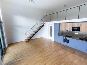 Prodej bytu 1+kk, Praha - Žižkov, U Viktorie, 67 m2