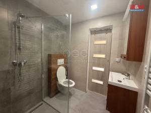 Pronájem bytu 2+kk, Benešov nad Ploučnicí, Palackého, 30 m2