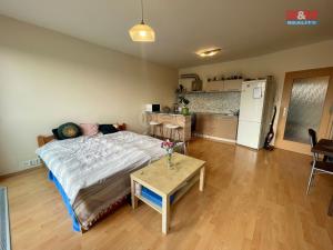 Pronájem bytu 1+kk, Hradec Králové - Nový Hradec Králové, Rybova, 39 m2