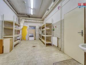 Pronájem obchodního prostoru, Kralovice, 77 m2