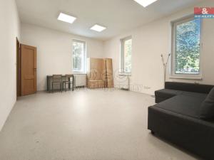 Pronájem obchodního prostoru, Mladá Boleslav - Mladá Boleslav II, 17. listopadu, 160 m2