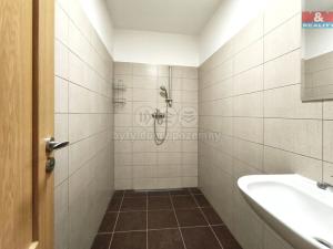 Pronájem obchodního prostoru, Mladá Boleslav - Mladá Boleslav II, 17. listopadu, 160 m2
