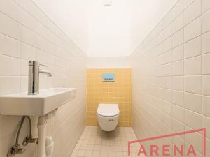 Pronájem bytu 5+kk, Brno, 165 m2