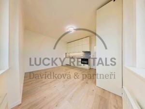 Pronájem bytu 1+kk, Praha - Podolí, Levá, 27 m2