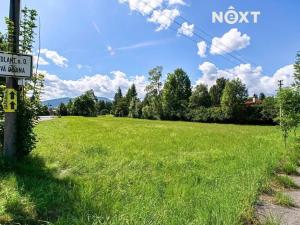 Prodej pozemku pro bydlení, Frýdlant nad Ostravicí, 2497 m2