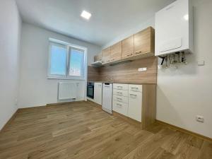 Prodej bytu 2+1, Lovosice, Nádražní, 59 m2