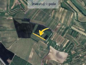 Prodej louky, Starovičky, 4020 m2