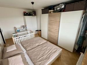 Pronájem bytu 2+1, Praha - Hloubětín, Zelenečská, 60 m2