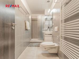 Prodej bytu 1+kk, Loučná pod Klínovcem, 40 m2