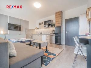 Prodej bytu 1+kk, Loučná pod Klínovcem, 40 m2