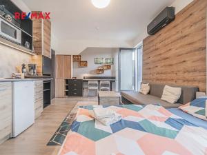 Prodej bytu 1+kk, Loučná pod Klínovcem, 40 m2