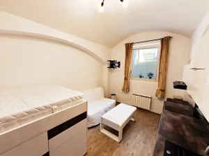 Prodej bytu 1+kk, Praha - Vinohrady, Rubešova, 24 m2