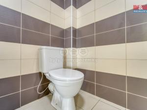 Pronájem bytu 1+kk, Sytno, 31 m2