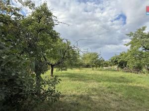 Prodej zahrady, Husinec, Na Kazatelně, 1198 m2