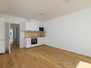 Pronájem bytu 1+kk, Praha - Holešovice, U průhonu, 32 m2