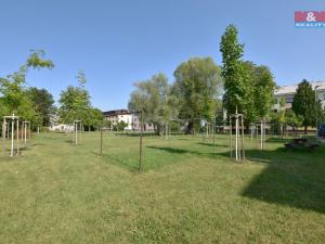 Pronájem bytu 2+1, Opatovice nad Labem, Smetanova, 54 m2