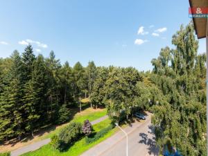 Prodej bytu 3+1, Horní Slavkov, Dlouhá, 65 m2