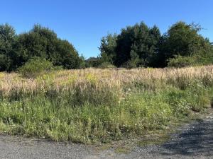 Prodej rodinného domu, Březí, 125 m2
