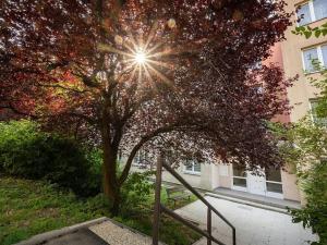 Prodej bytu 4+1, Brno, Popelákova, 77 m2
