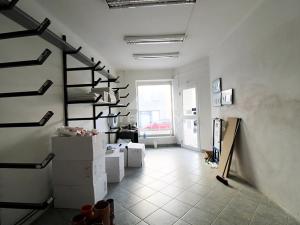Prodej obchodního prostoru, Plzeň, Pod Všemi svatými, 450 m2