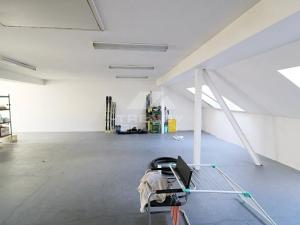 Prodej obchodního prostoru, Plzeň, Pod Všemi svatými, 450 m2