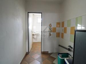 Prodej obchodního prostoru, Plzeň, Pod Všemi svatými, 450 m2