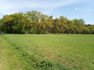 Prodej pole, Brandýs nad Labem-Stará Boleslav, 250000 m2
