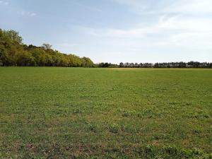 Prodej pole, Brandýs nad Labem-Stará Boleslav, 250000 m2