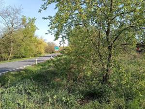 Prodej pole, Brandýs nad Labem-Stará Boleslav, 250000 m2