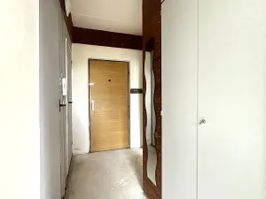 Prodej bytu 1+1, Plzeň, Toužimská, 39 m2