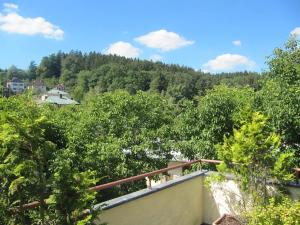 Pronájem bytu 2+kk, Luhačovice, Dr. Veselého, 45 m2