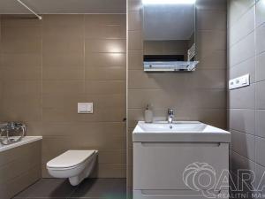Pronájem bytu 1+kk, Praha - Karlín, U Mlýnského kanálu, 37 m2