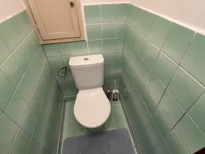 Prodej bytu 4+kk, Benešov nad Ploučnicí, Wolkerova, 72 m2