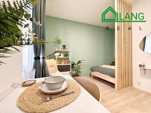 Pronájem bytu 1+kk, Brno, Koliště, 26 m2