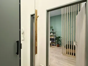 Pronájem bytu 1+kk, Brno, Koliště, 26 m2