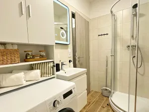 Pronájem bytu 1+kk, Brno, Koliště, 26 m2
