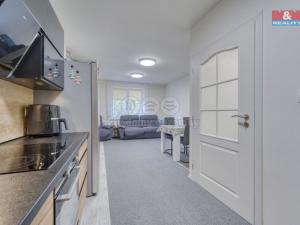 Prodej rodinného domu, Chotěšov, Starý mlýn, 353 m2