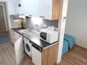 Pronájem bytu 1+kk, Brno, Poříčí, 33 m2