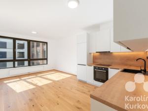 Pronájem bytu 2+kk, Praha - Nusle, Muzikova, 56 m2