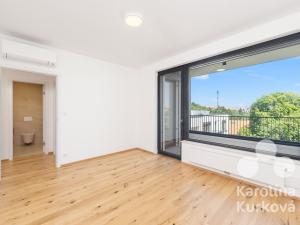 Pronájem bytu 4+kk, Praha - Nusle, Muzikova, 109 m2