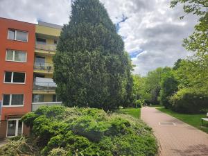 Prodej bytu 3+1, Praha - Letňany, Kopřivnická, 82 m2