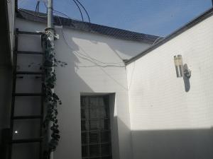 Pronájem bytu 1+kk, Brno - Brno-město, Joštova, 37 m2