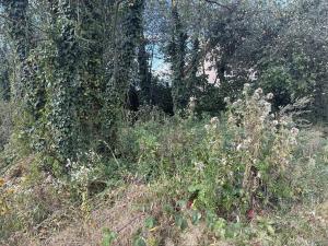 Prodej pozemku pro bydlení, Kamenný Přívoz, 357 m2